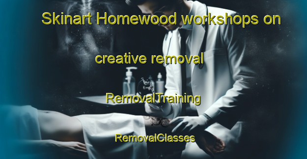 Skinart Homewood workshops on creative removal | RemovalTraining | RemovalClasses | SkinartTraining-Australia
