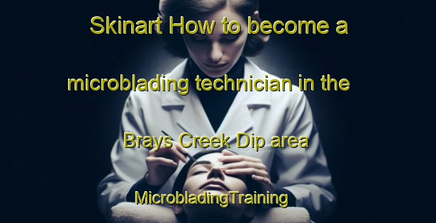 Skinart How to become a microblading technician in the Brays Creek Dip area | MicrobladingTraining | MicrobladingClasses | SkinartTraining-Australia