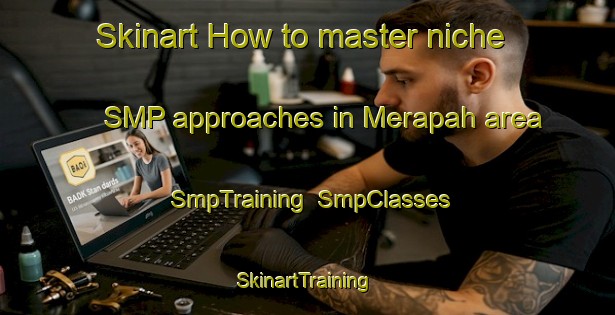Skinart How to master niche SMP approaches in Merapah area | SmpTraining | SmpClasses | SkinartTraining-Australia