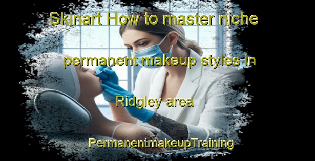 Skinart How to master niche permanent makeup styles in Ridgley area | PermanentmakeupTraining | PermanentmakeupClasses | SkinartTraining-Australia