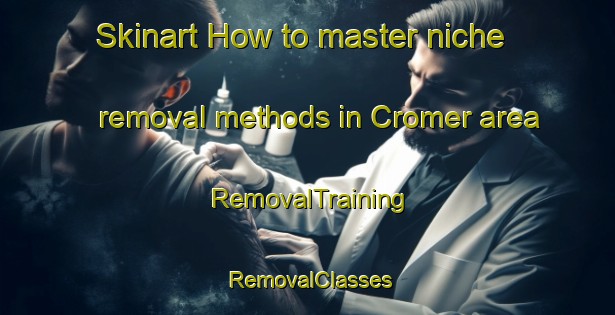 Skinart How to master niche removal methods in Cromer area | RemovalTraining | RemovalClasses | SkinartTraining-Australia