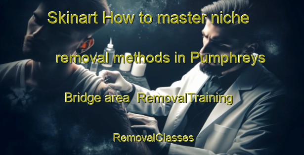Skinart How to master niche removal methods in Pumphreys Bridge area | RemovalTraining | RemovalClasses | SkinartTraining-Australia