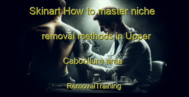 Skinart How to master niche removal methods in Upper Caboollure area | RemovalTraining | RemovalClasses | SkinartTraining-Australia