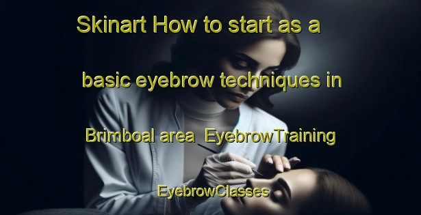 Skinart How to start as a basic eyebrow techniques in Brimboal area | EyebrowTraining | EyebrowClasses | SkinartTraining-Australia