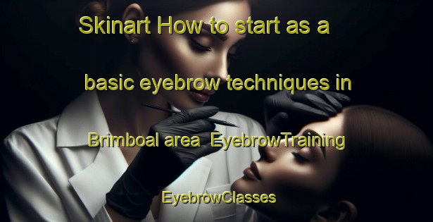 Skinart How to start as a basic eyebrow techniques in Brimboal area | EyebrowTraining | EyebrowClasses | SkinartTraining-Australia