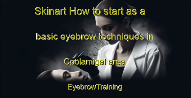Skinart How to start as a basic eyebrow techniques in Coolamigal area | EyebrowTraining | EyebrowClasses | SkinartTraining-Australia