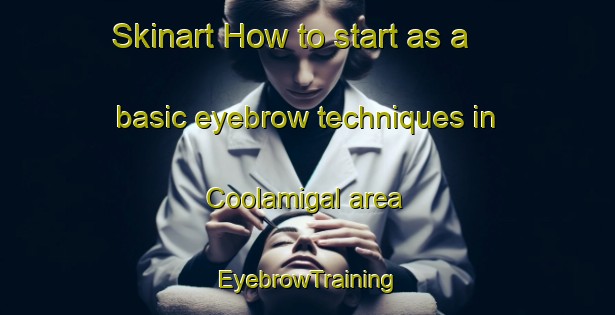 Skinart How to start as a basic eyebrow techniques in Coolamigal area | EyebrowTraining | EyebrowClasses | SkinartTraining-Australia