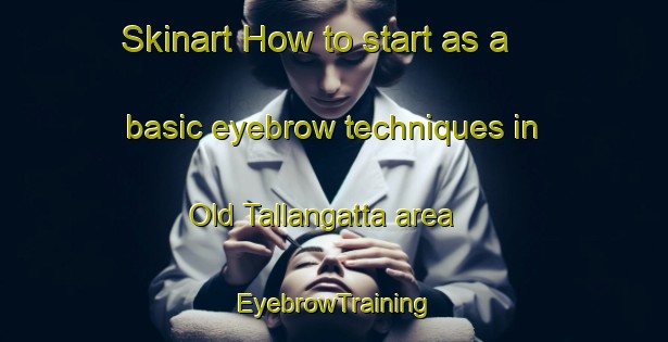 Skinart How to start as a basic eyebrow techniques in Old Tallangatta area | EyebrowTraining | EyebrowClasses | SkinartTraining-Australia