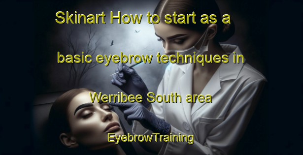 Skinart How to start as a basic eyebrow techniques in Werribee South area | EyebrowTraining | EyebrowClasses | SkinartTraining-Australia