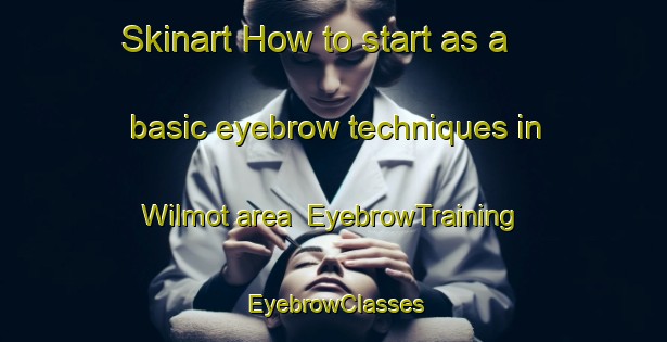 Skinart How to start as a basic eyebrow techniques in Wilmot area | EyebrowTraining | EyebrowClasses | SkinartTraining-Australia