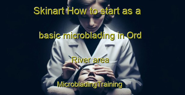 Skinart How to start as a basic microblading in Ord River area | MicrobladingTraining | MicrobladingClasses | SkinartTraining-Australia