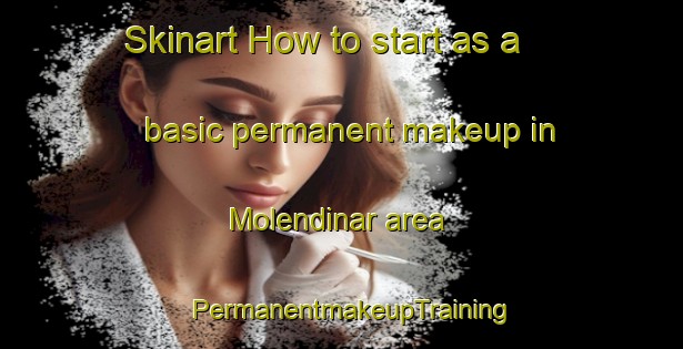 Skinart How to start as a basic permanent makeup in Molendinar area | PermanentmakeupTraining | PermanentmakeupClasses | SkinartTraining-Australia