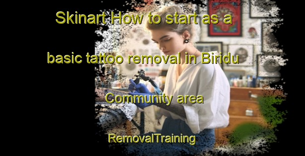 Skinart How to start as a basic tattoo removal in Biridu Community area | RemovalTraining | RemovalClasses | SkinartTraining-Australia