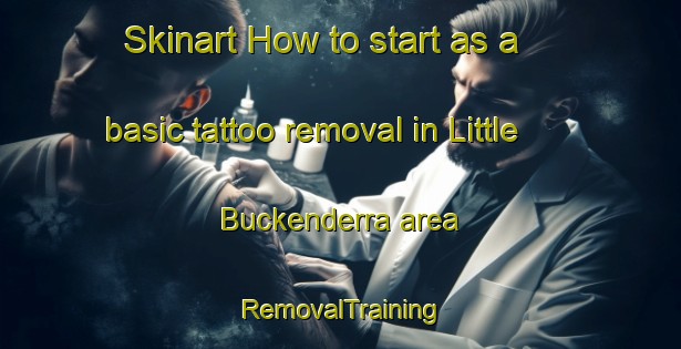 Skinart How to start as a basic tattoo removal in Little Buckenderra area | RemovalTraining | RemovalClasses | SkinartTraining-Australia