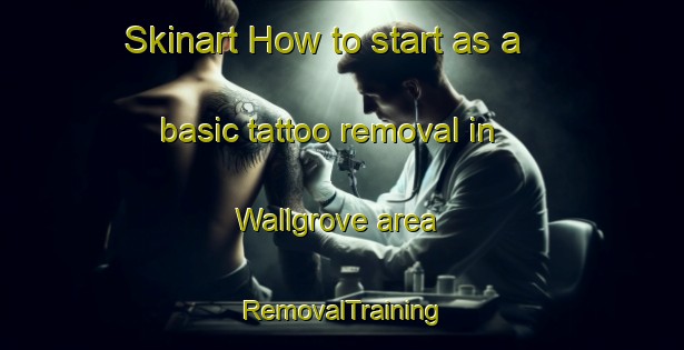Skinart How to start as a basic tattoo removal in Wallgrove area | RemovalTraining | RemovalClasses | SkinartTraining-Australia