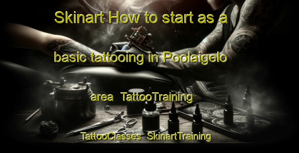 Skinart How to start as a basic tattooing in Poolaigelo area | TattooTraining | TattooClasses | SkinartTraining-Australia