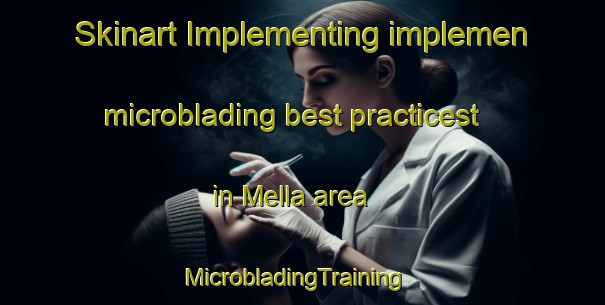 Skinart Implementing implemen microblading best practicest in Mella area | MicrobladingTraining | MicrobladingClasses | SkinartTraining-Australia