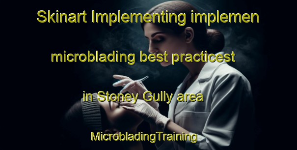 Skinart Implementing implemen microblading best practicest in Stoney Gully area | MicrobladingTraining | MicrobladingClasses | SkinartTraining-Australia