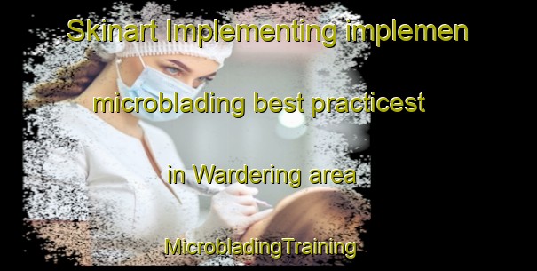 Skinart Implementing implemen microblading best practicest in Wardering area | MicrobladingTraining | MicrobladingClasses | SkinartTraining-Australia