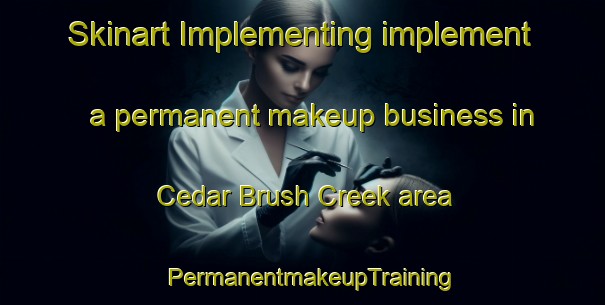 Skinart Implementing implement a permanent makeup business in Cedar Brush Creek area | PermanentmakeupTraining | PermanentmakeupClasses | SkinartTraining-Australia