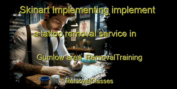 Skinart Implementing implement a tattoo removal service in Gumlow area | RemovalTraining | RemovalClasses | SkinartTraining-Australia