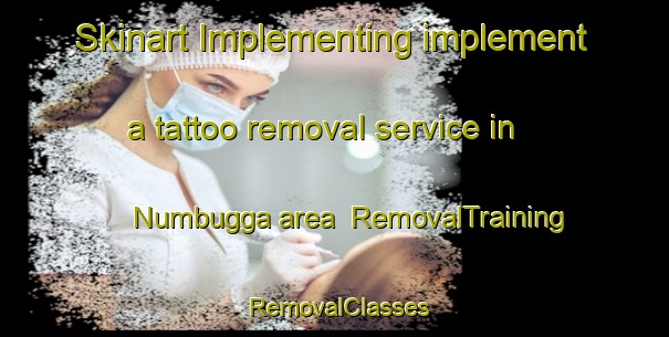 Skinart Implementing implement a tattoo removal service in Numbugga area | RemovalTraining | RemovalClasses | SkinartTraining-Australia
