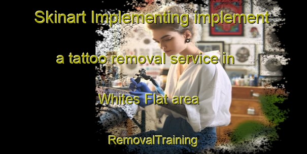 Skinart Implementing implement a tattoo removal service in Whites Flat area | RemovalTraining | RemovalClasses | SkinartTraining-Australia
