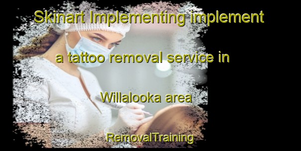 Skinart Implementing implement a tattoo removal service in Willalooka area | RemovalTraining | RemovalClasses | SkinartTraining-Australia