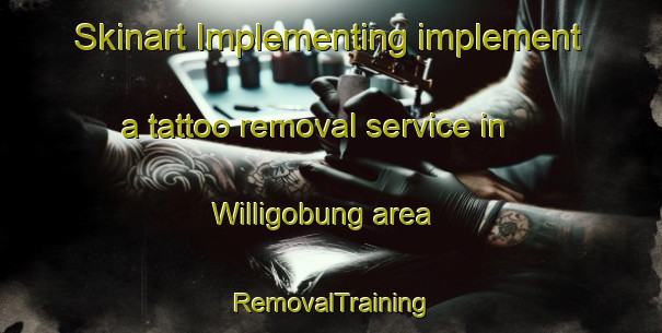 Skinart Implementing implement a tattoo removal service in Willigobung area | RemovalTraining | RemovalClasses | SkinartTraining-Australia