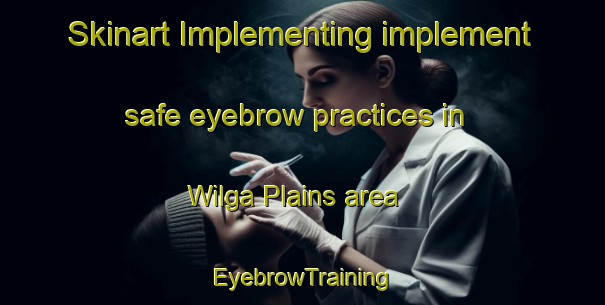 Skinart Implementing implement safe eyebrow practices in Wilga Plains area | EyebrowTraining | EyebrowClasses | SkinartTraining-Australia
