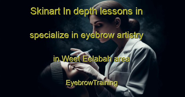Skinart In-depth lessons in specialize in eyebrow artistry in Weet Eelabah area | EyebrowTraining | EyebrowClasses | SkinartTraining-Australia