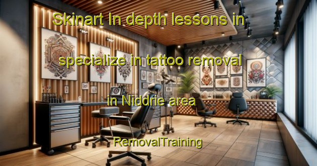 Skinart In-depth lessons in specialize in tattoo removal in Niddrie area | RemovalTraining | RemovalClasses | SkinartTraining-Australia