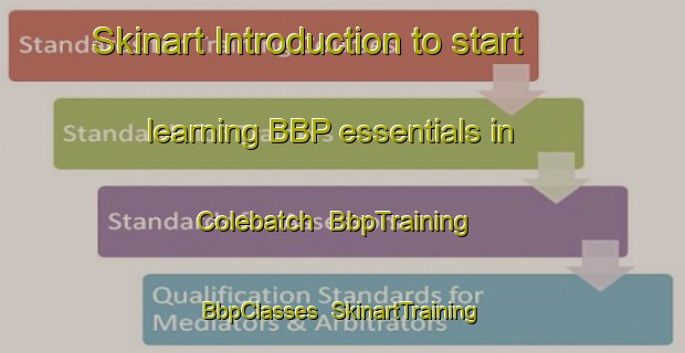 Skinart Introduction to start learning BBP essentials in Colebatch | BbpTraining | BbpClasses | SkinartTraining-Australia