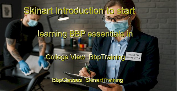 Skinart Introduction to start learning BBP essentials in College View | BbpTraining | BbpClasses | SkinartTraining-Australia