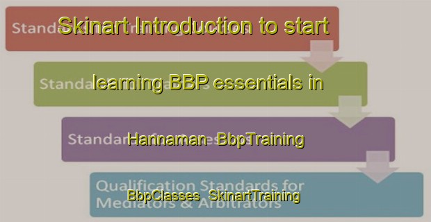 Skinart Introduction to start learning BBP essentials in Hannaman | BbpTraining | BbpClasses | SkinartTraining-Australia