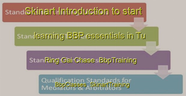 Skinart Introduction to start learning BBP essentials in Tu Ring Gai Chase | BbpTraining | BbpClasses | SkinartTraining-Australia