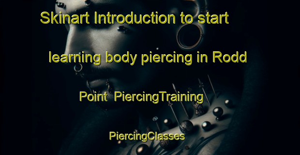 Skinart Introduction to start learning body piercing in Rodd Point | PiercingTraining | PiercingClasses | SkinartTraining-Australia