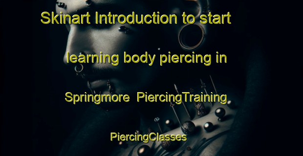 Skinart Introduction to start learning body piercing in Springmore | PiercingTraining | PiercingClasses | SkinartTraining-Australia