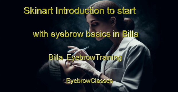 Skinart Introduction to start with eyebrow basics in Billa Billa | EyebrowTraining | EyebrowClasses | SkinartTraining-Australia