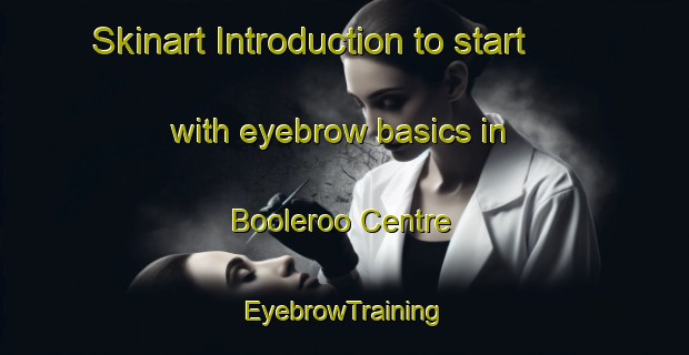 Skinart Introduction to start with eyebrow basics in Booleroo Centre | EyebrowTraining | EyebrowClasses | SkinartTraining-Australia