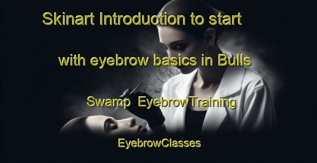 Skinart Introduction to start with eyebrow basics in Bulls Swamp | EyebrowTraining | EyebrowClasses | SkinartTraining-Australia