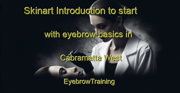 Skinart Introduction to start with eyebrow basics in Cabramatta West | EyebrowTraining | EyebrowClasses | SkinartTraining-Australia
