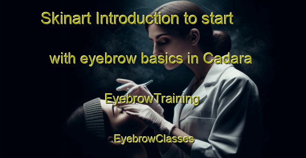 Skinart Introduction to start with eyebrow basics in Cadara | EyebrowTraining | EyebrowClasses | SkinartTraining-Australia