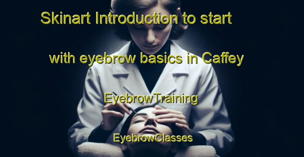 Skinart Introduction to start with eyebrow basics in Caffey | EyebrowTraining | EyebrowClasses | SkinartTraining-Australia