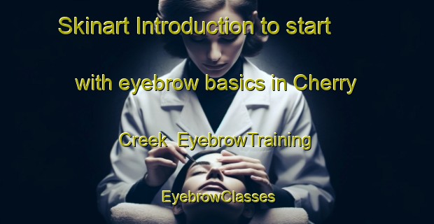 Skinart Introduction to start with eyebrow basics in Cherry Creek | EyebrowTraining | EyebrowClasses | SkinartTraining-Australia