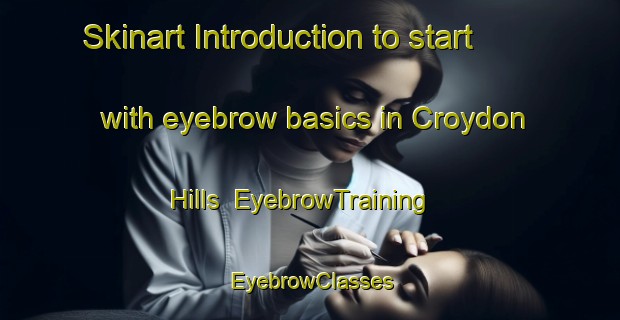 Skinart Introduction to start with eyebrow basics in Croydon Hills | EyebrowTraining | EyebrowClasses | SkinartTraining-Australia