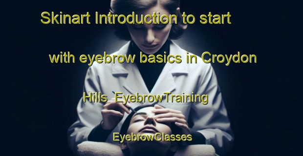 Skinart Introduction to start with eyebrow basics in Croydon Hills | EyebrowTraining | EyebrowClasses | SkinartTraining-Australia