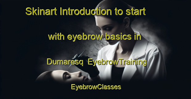 Skinart Introduction to start with eyebrow basics in Dumaresq | EyebrowTraining | EyebrowClasses | SkinartTraining-Australia