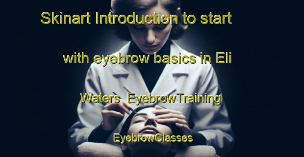 Skinart Introduction to start with eyebrow basics in Eli Waters | EyebrowTraining | EyebrowClasses | SkinartTraining-Australia