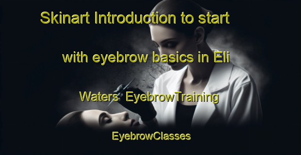 Skinart Introduction to start with eyebrow basics in Eli Waters | EyebrowTraining | EyebrowClasses | SkinartTraining-Australia